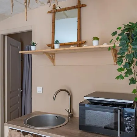 Apartment La Camarguaise En Centre - Nuit A *
