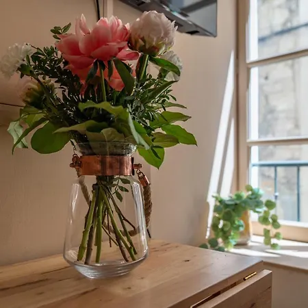 Apartamento La Camarguaise En Centre - Nuit A *