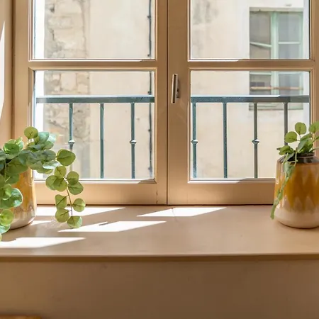 Apartamento La Camarguaise En Centre - Nuit A