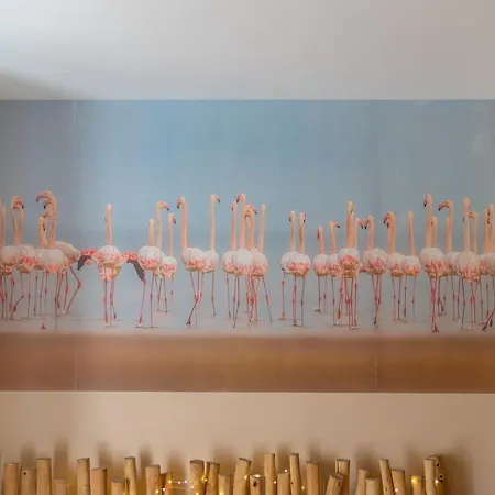 Apartamento La Camarguaise En Centre - Nuit A Nimes