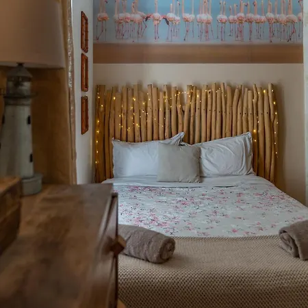 La Camarguaise En Centre - Nuit A Apartment *