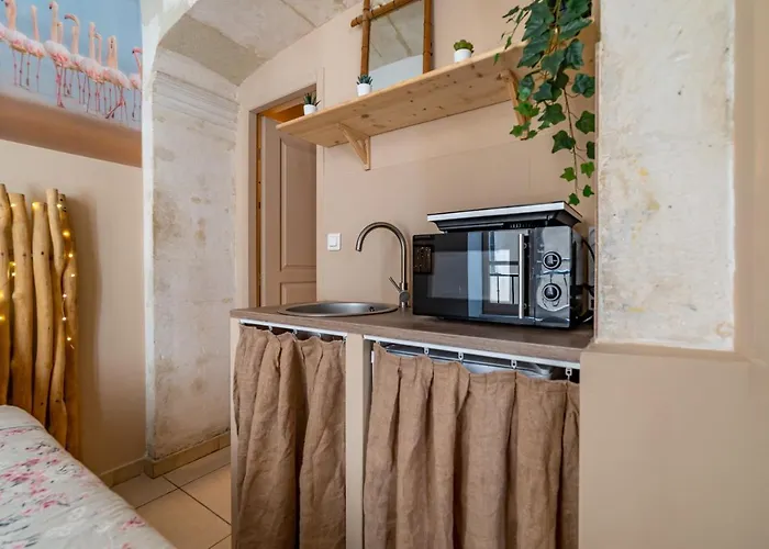 La Camarguaise En Centre - Nuit A *